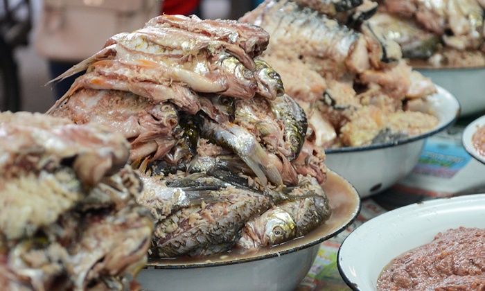 fermented-fish-2.jpg