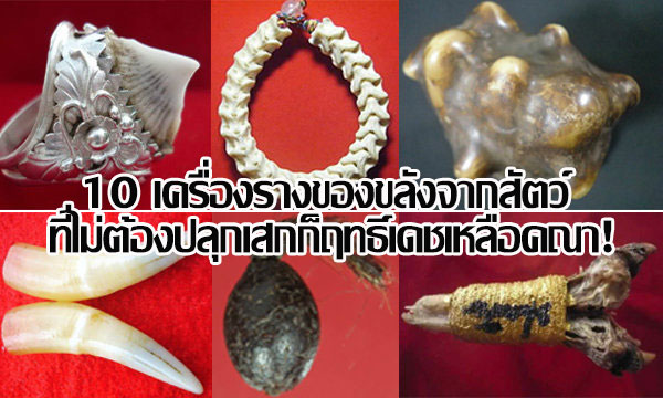 10 เครื่องรางของขลังจากสัตว์ ที่ไม่ต้องปลุกเสกก็ฤทธิ์เดชเหลือคณา!