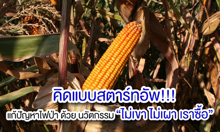 คิดแบบสตาร์ทอัพ!!! แก้ปัญหาไฟป่า ด้วยนวัตกรรม “ไม่เขา ไม่เผา เราซื้อ”