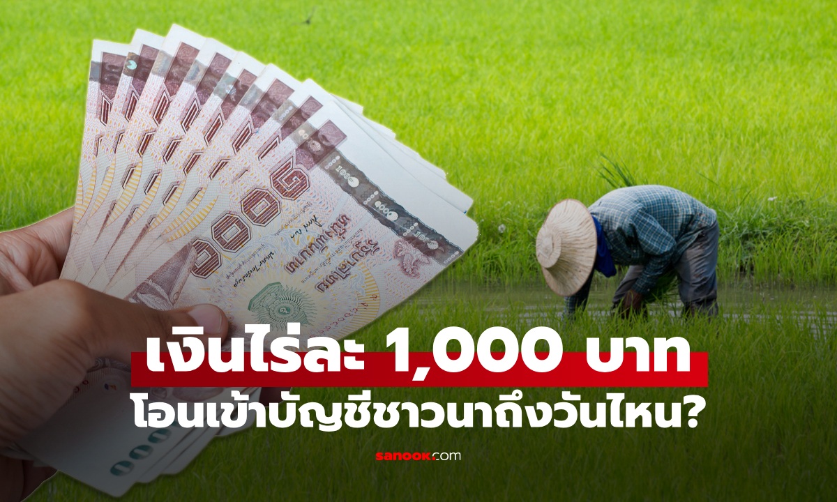 ตรวจสอบเงินไร่ละ 1,000 บาท เยียวยาเกษตรกร ข้าวนาปรัง-นาปี เงินเข้าถึงวันไหน