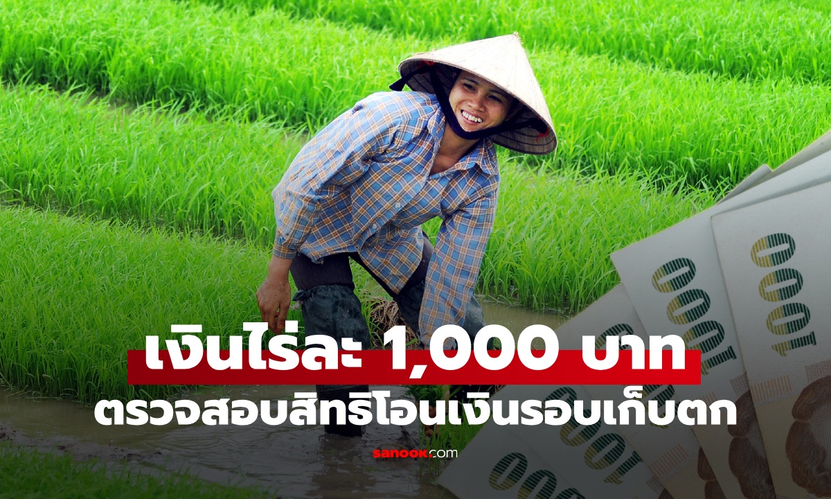 เงินเยียวยาเกษตรกรไร่ละ 1,000 บาท โอนรอบเก็บตก เช็กสิทธิ chongkho.inbaac.com